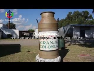 Programa 229 – 15/2/2019